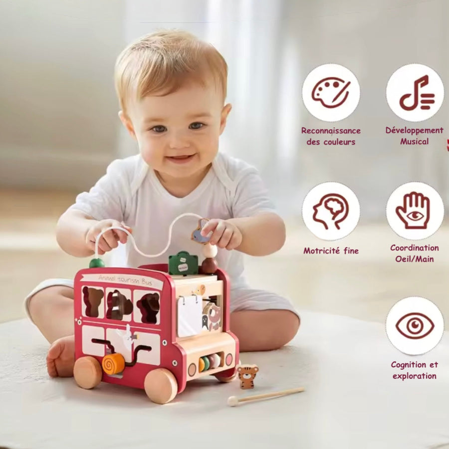 jeux montessori bébé déscripion éveil